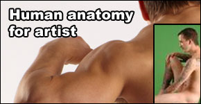 Human Anatomy for Artist