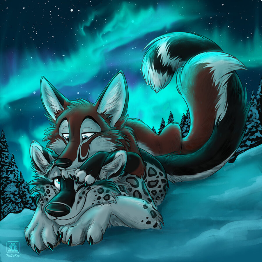 Hunting Northern Lights