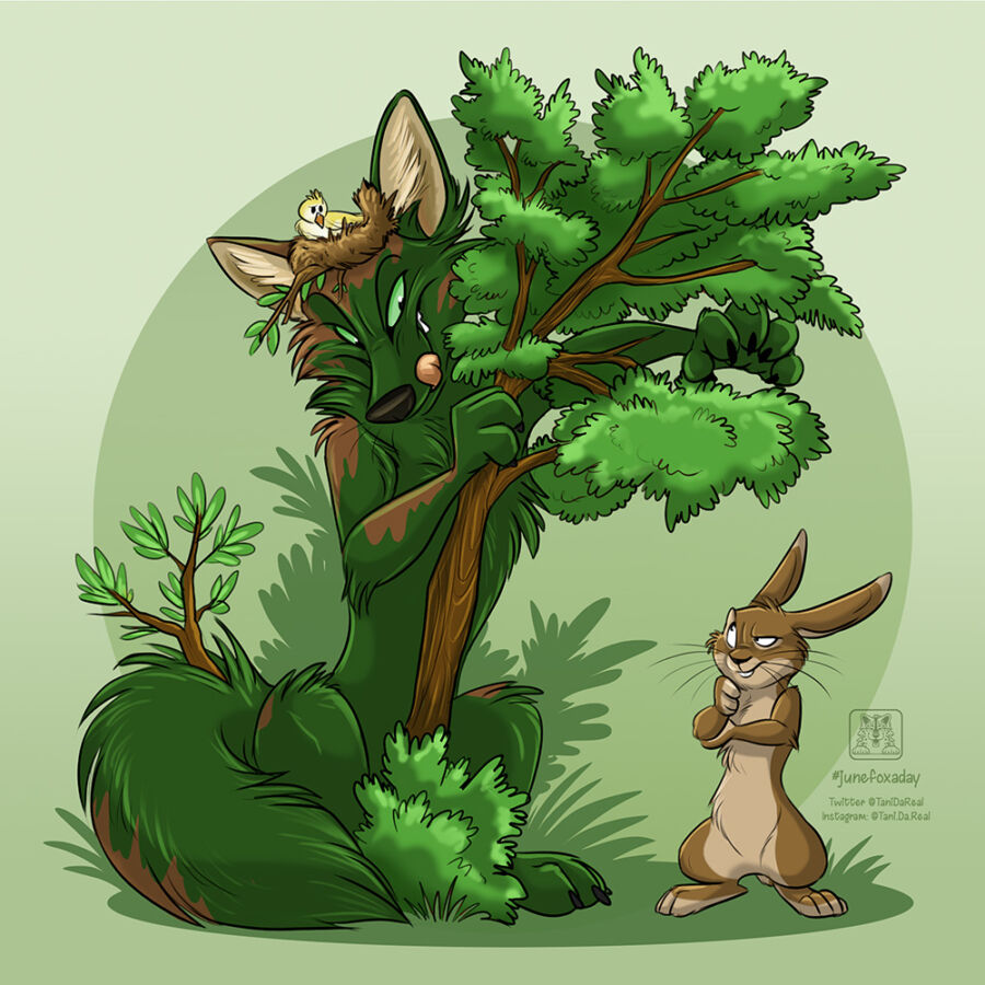 Tree Fox