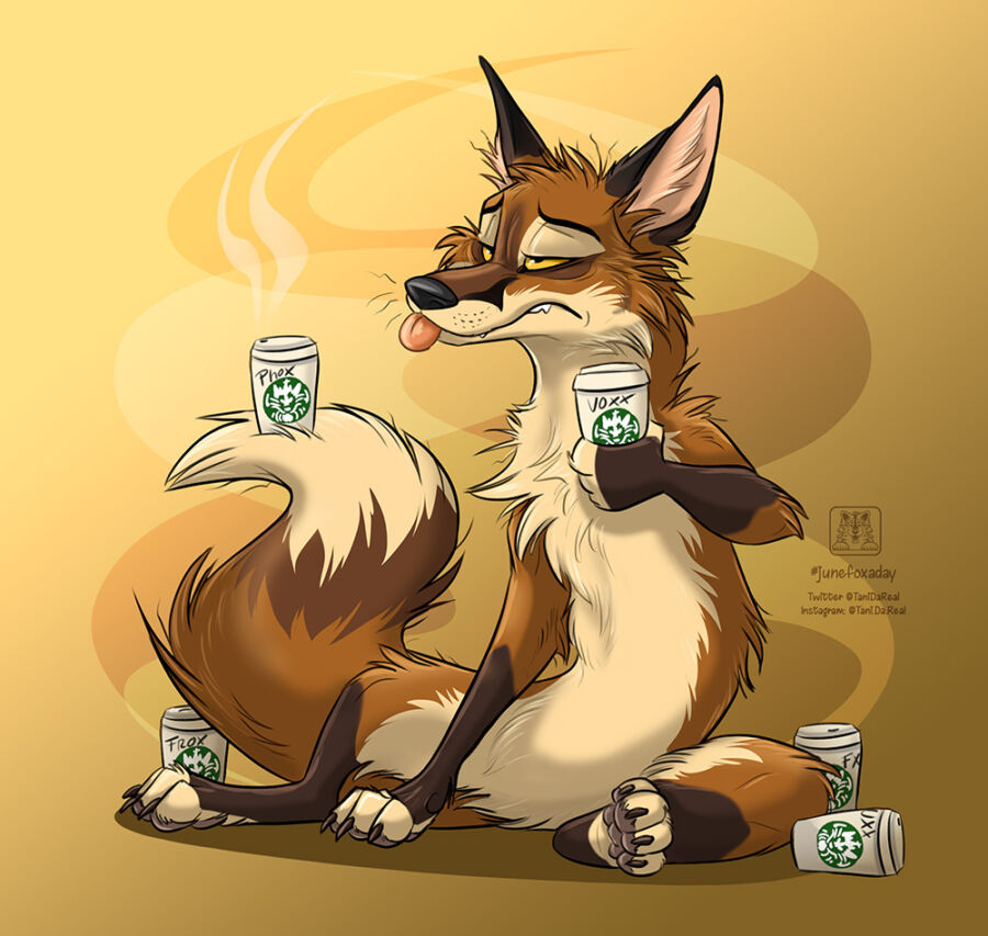 Coffee Fox