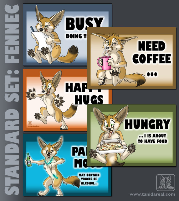 standard-set_canine_fennec