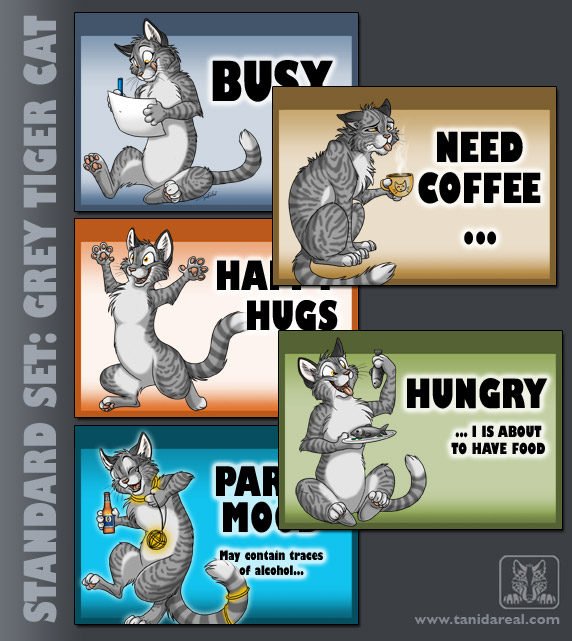 standard-set_cat-greytiger