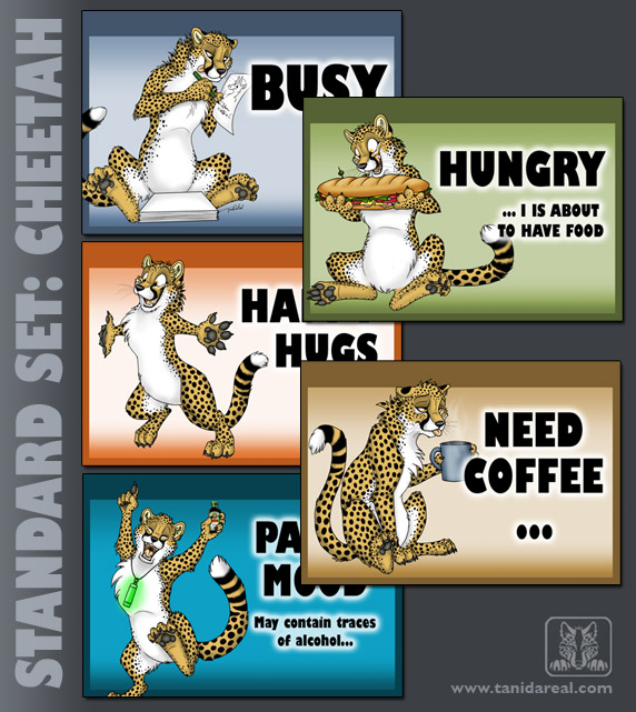 standard-set_cheetah