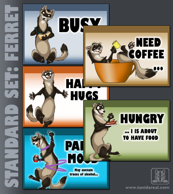 standard-set_ferret