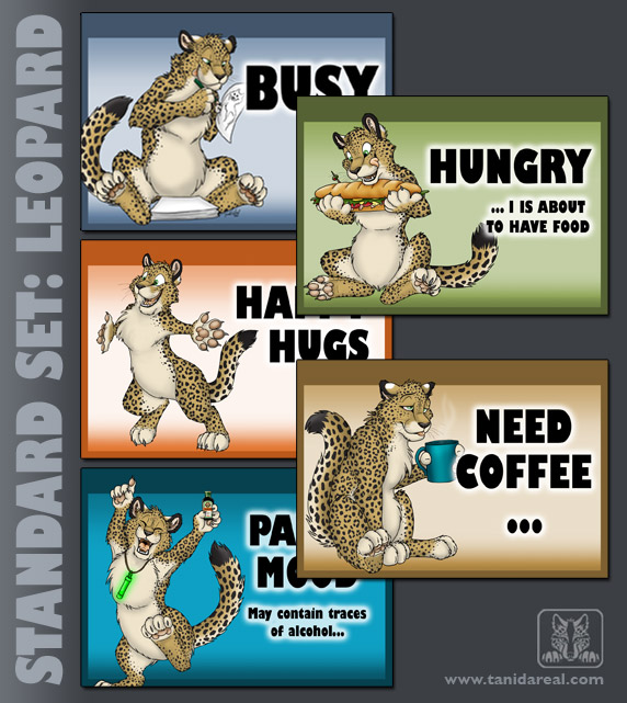 standard-set_leopard