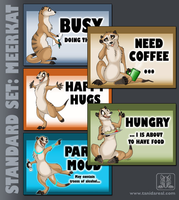 standard-set_meerkat